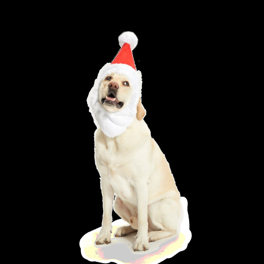 Here Comes Santa Paws Plush Wearable Tug Dog Toy