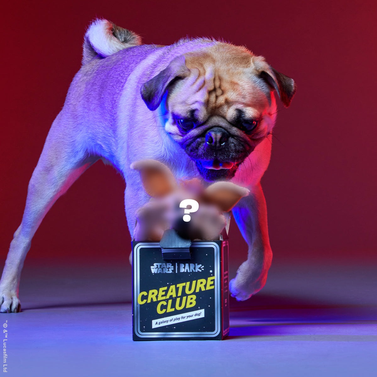 Star WarsTM Creature Club, Plush Monthly Dog Toys
