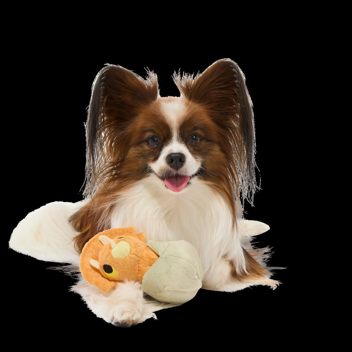 Baby Triceratops Plush Multi-Part + Enrichment Dog Toy