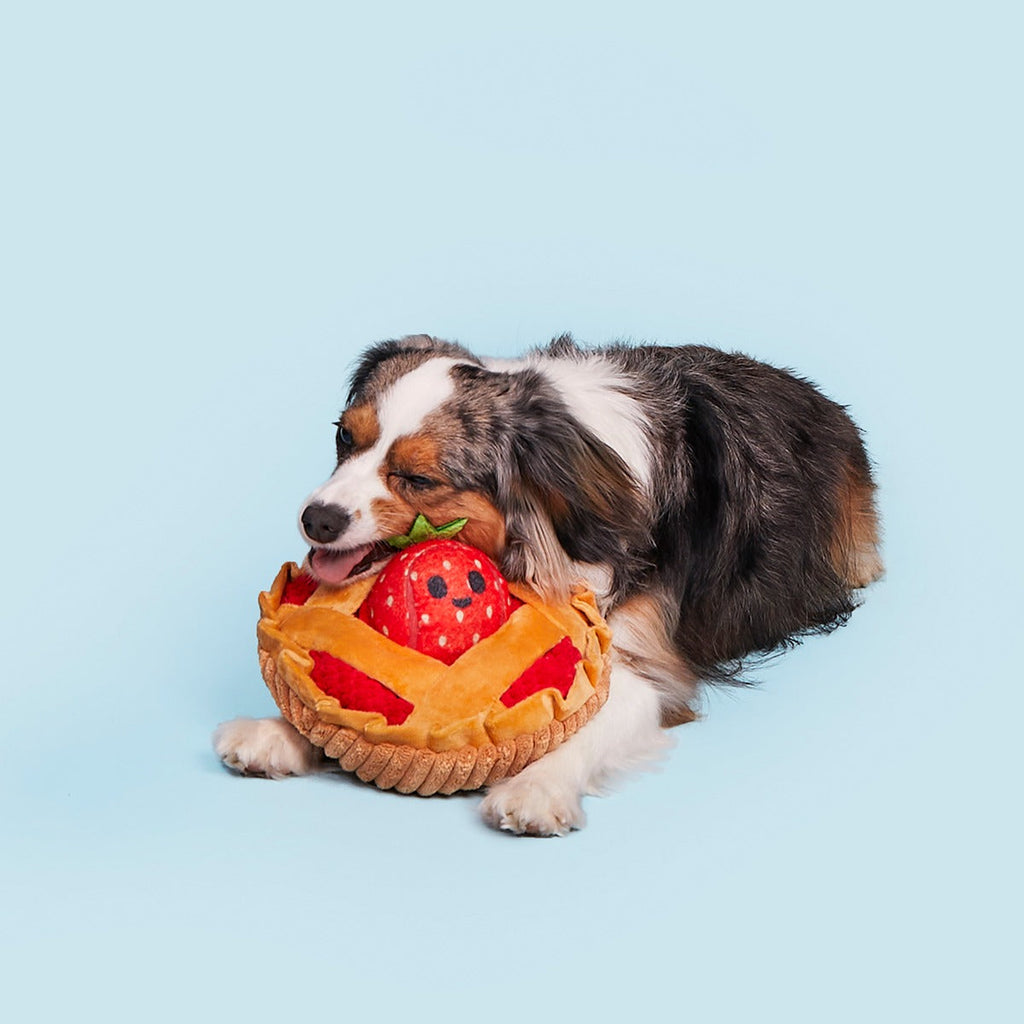 Strawberry Pie Plush Multi-Part + Enrichment Dog Toy