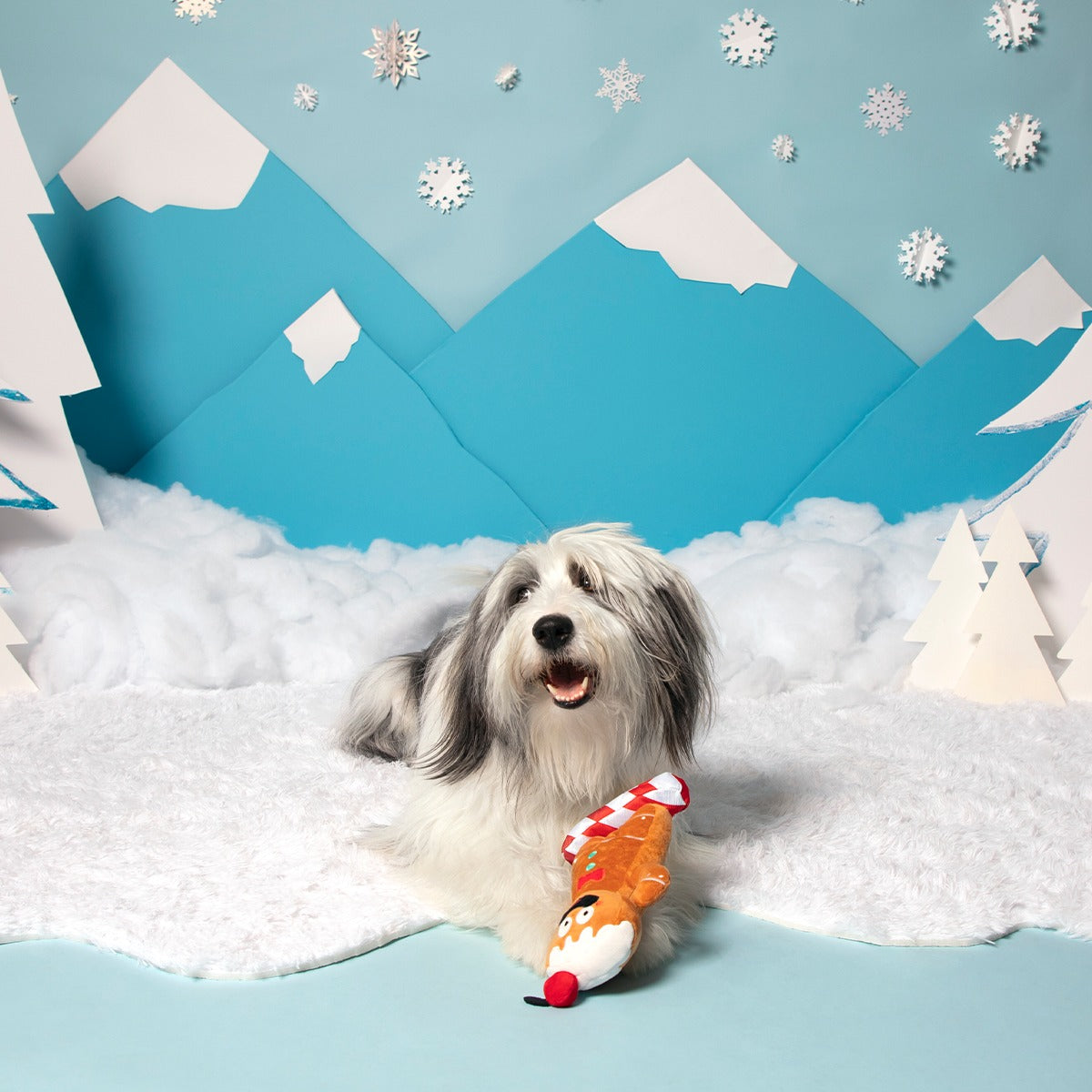 Gingershred Man Plush Tug Dog Toy