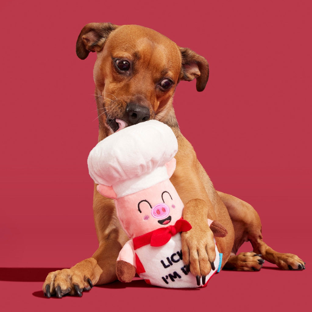 Tony Pupperoni Plush Tug Dog Toy