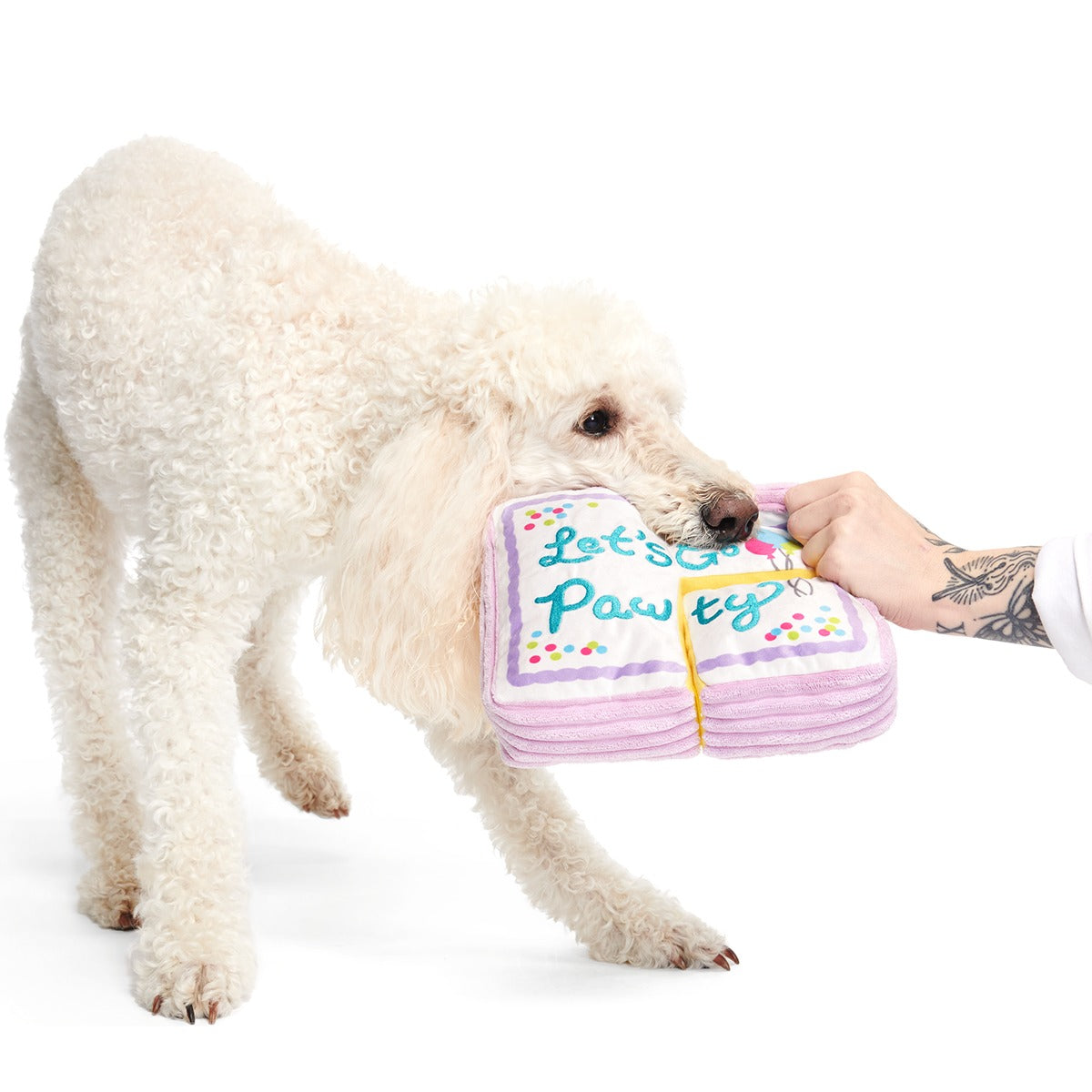Piece Of Sheet Cake Plush Multi-Part Dog Toy