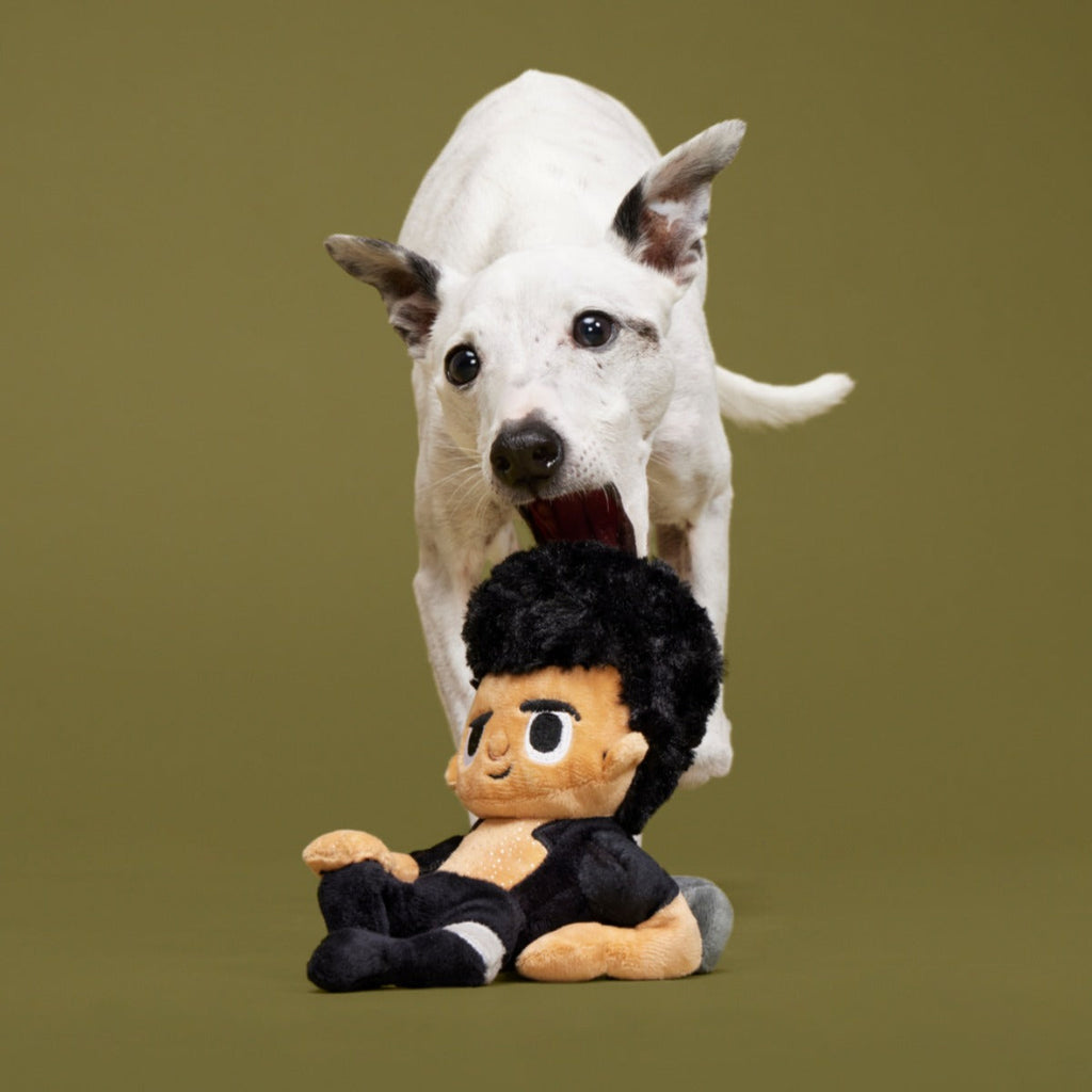 Life Finds A Play Plush Tug Dog Toy