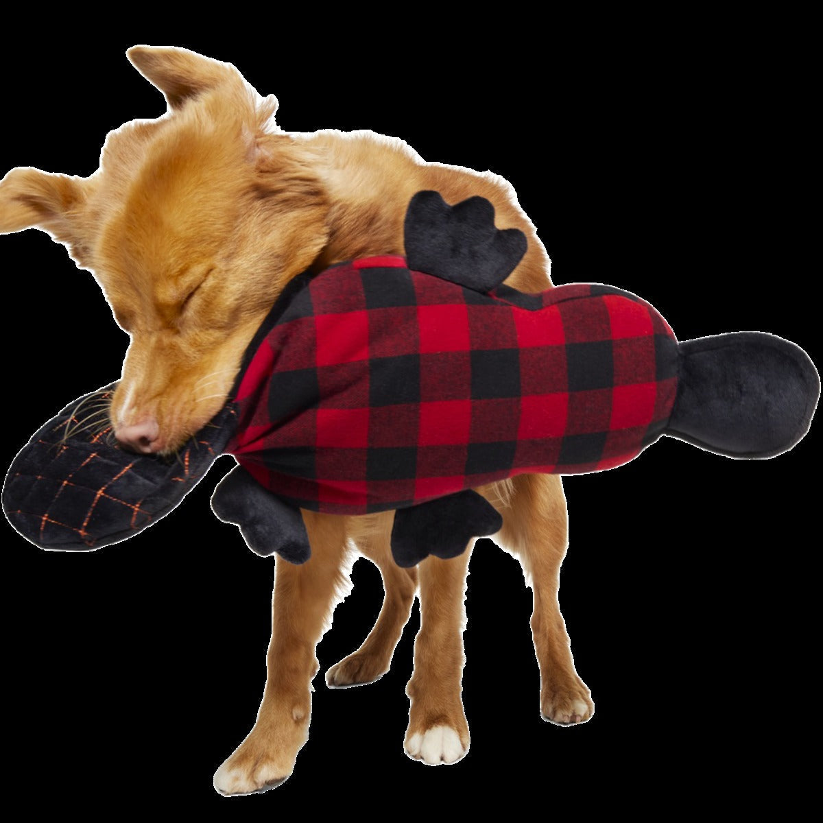 Plaidypus Plush XXL Tug Dog Toy