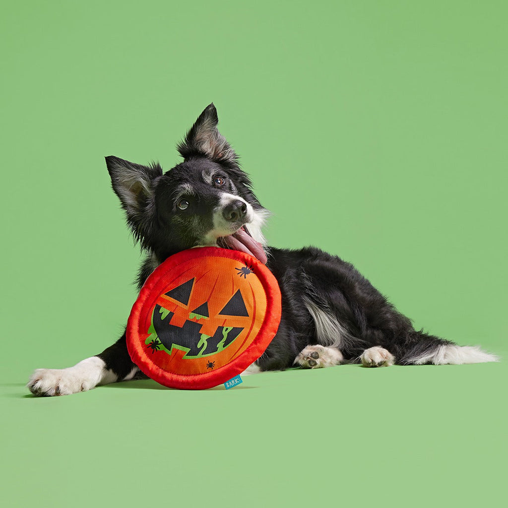 Jack-Throw-Lantern Plush Fetch Dog Toy