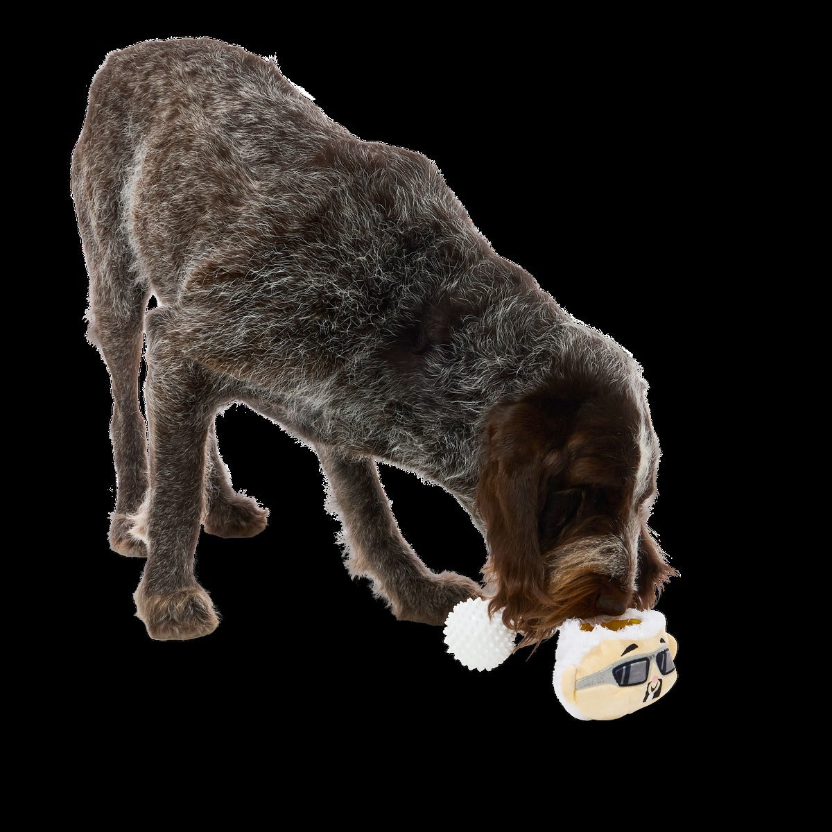 Mayor of Squeakertown Plush Multi-Part + Fetch Dog Toy
