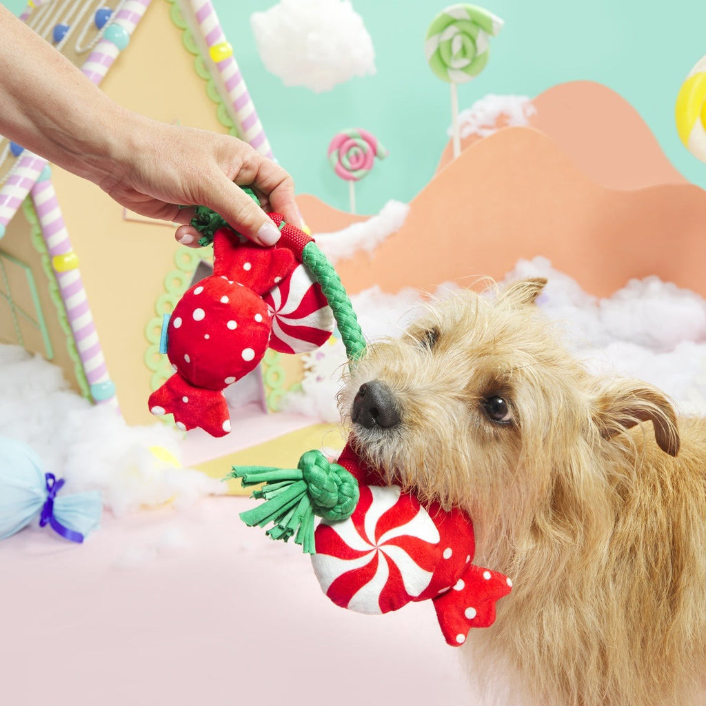 Puppermint Sweeties Plush Tug Dog Toy