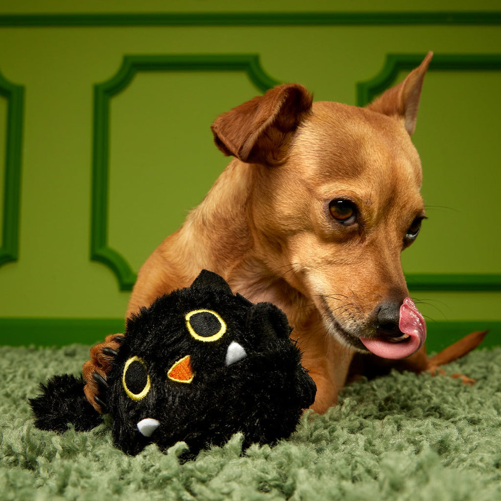 Black Alley Cat Super Chewer Durable 2-in-1 + Tug + Fetch Dog Toy