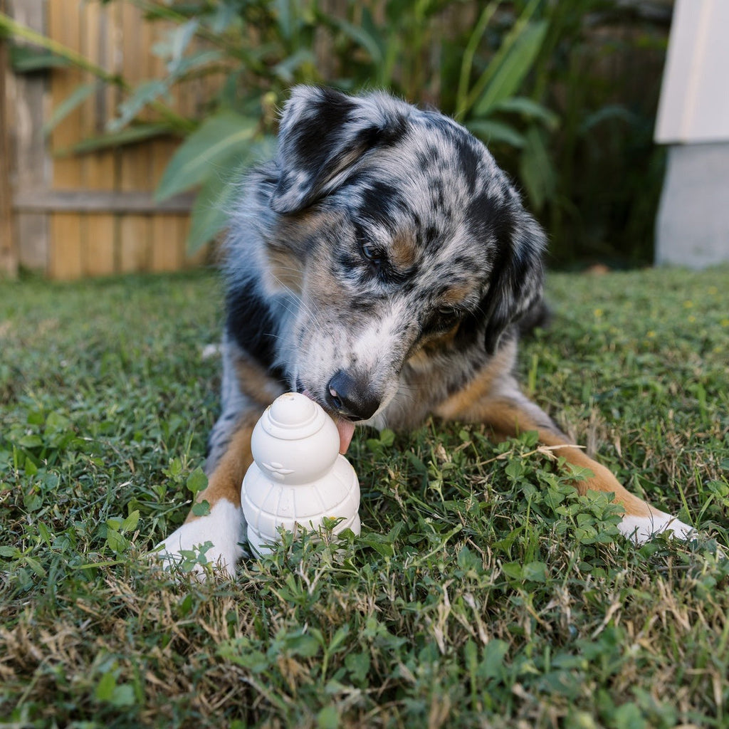 Sam the SnowmanTM Super Chewer Durable Gnaw Dog Toy