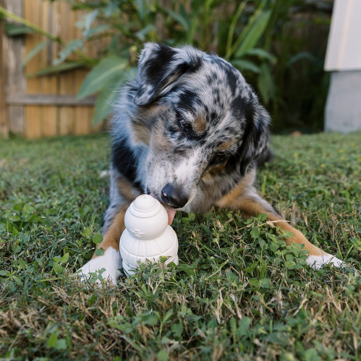 Sam the SnowmanTM Super Chewer Durable Gnaw Dog Toy