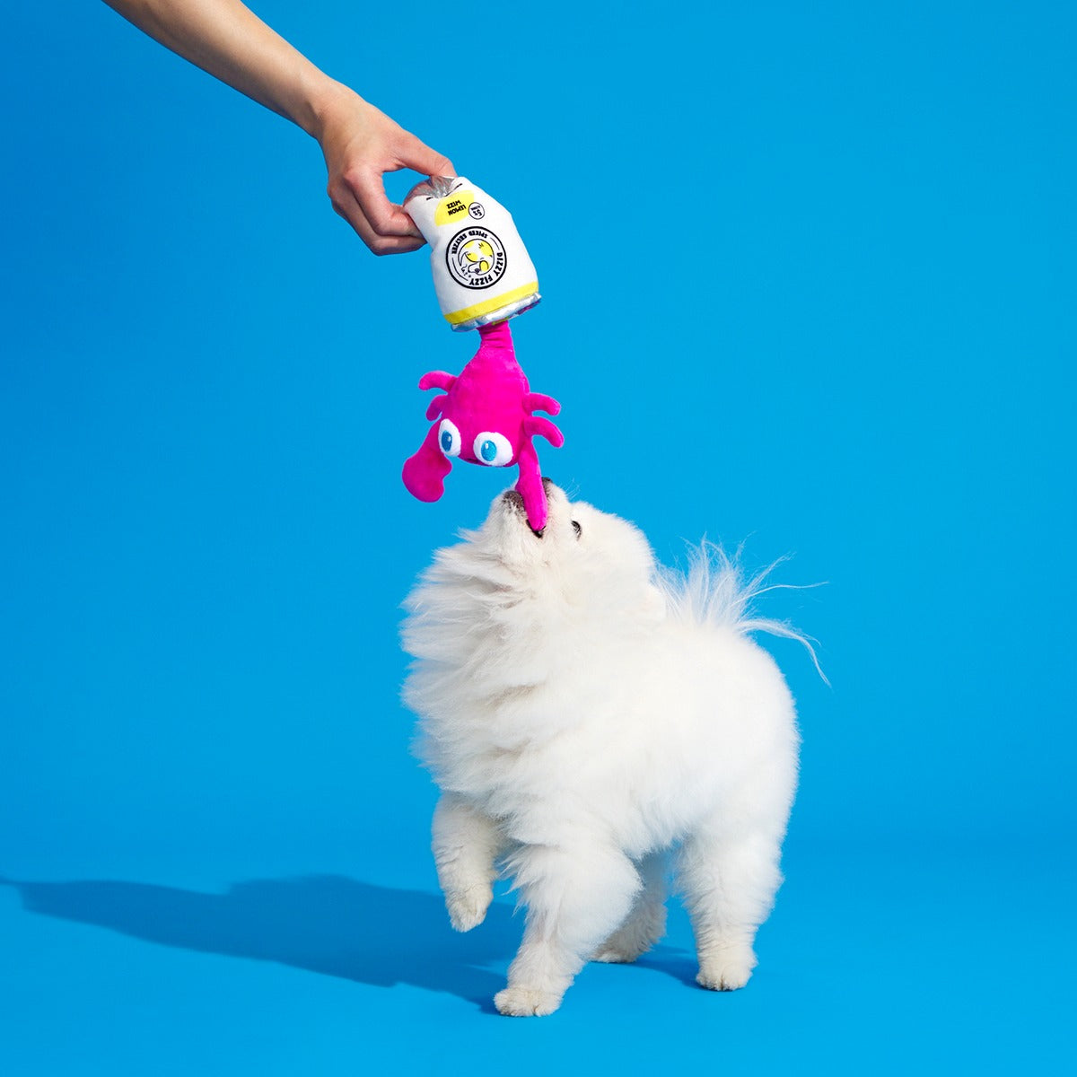 House Party Marty Plush Tug Dog Toy