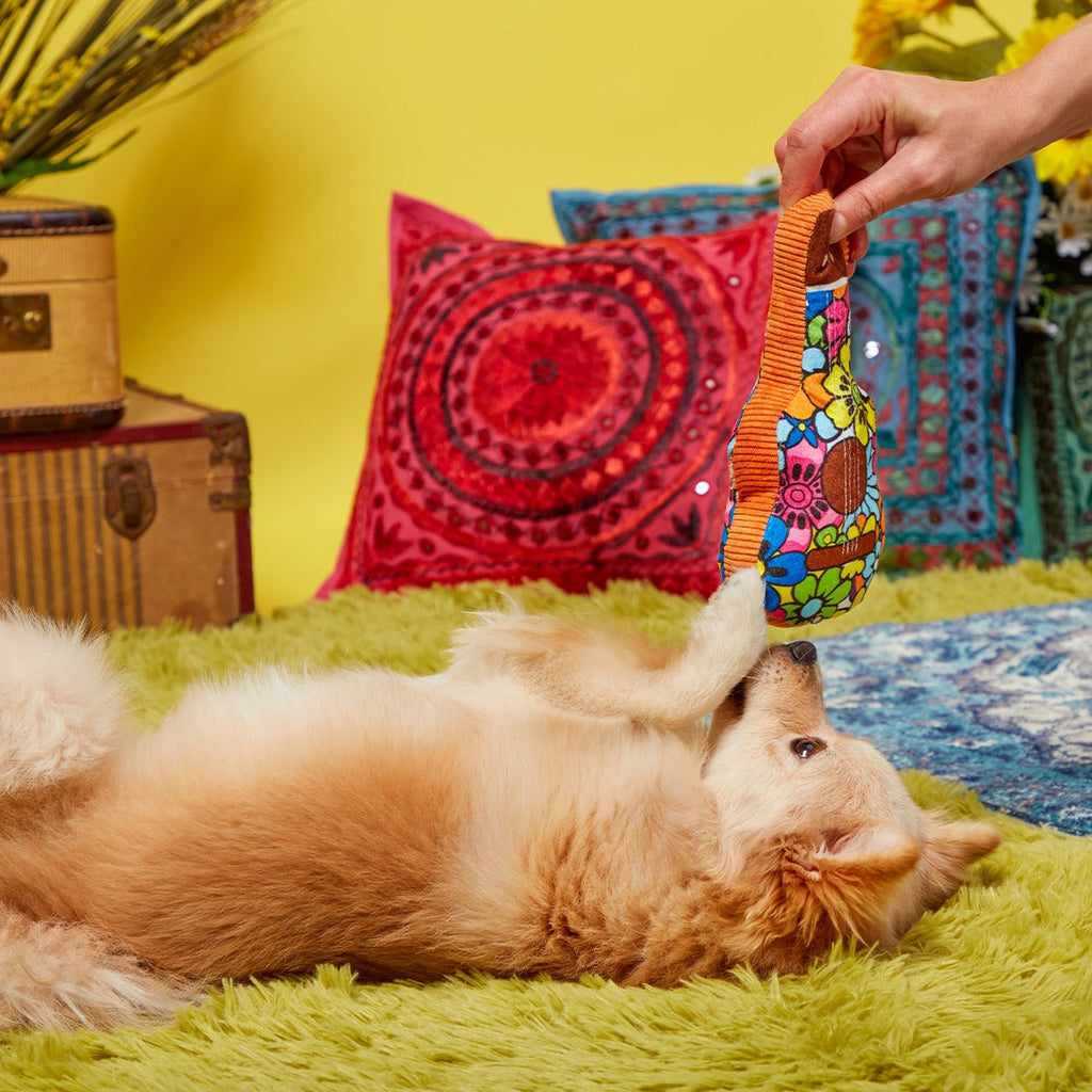 Guitar Licks Plush Tug Dog Toy