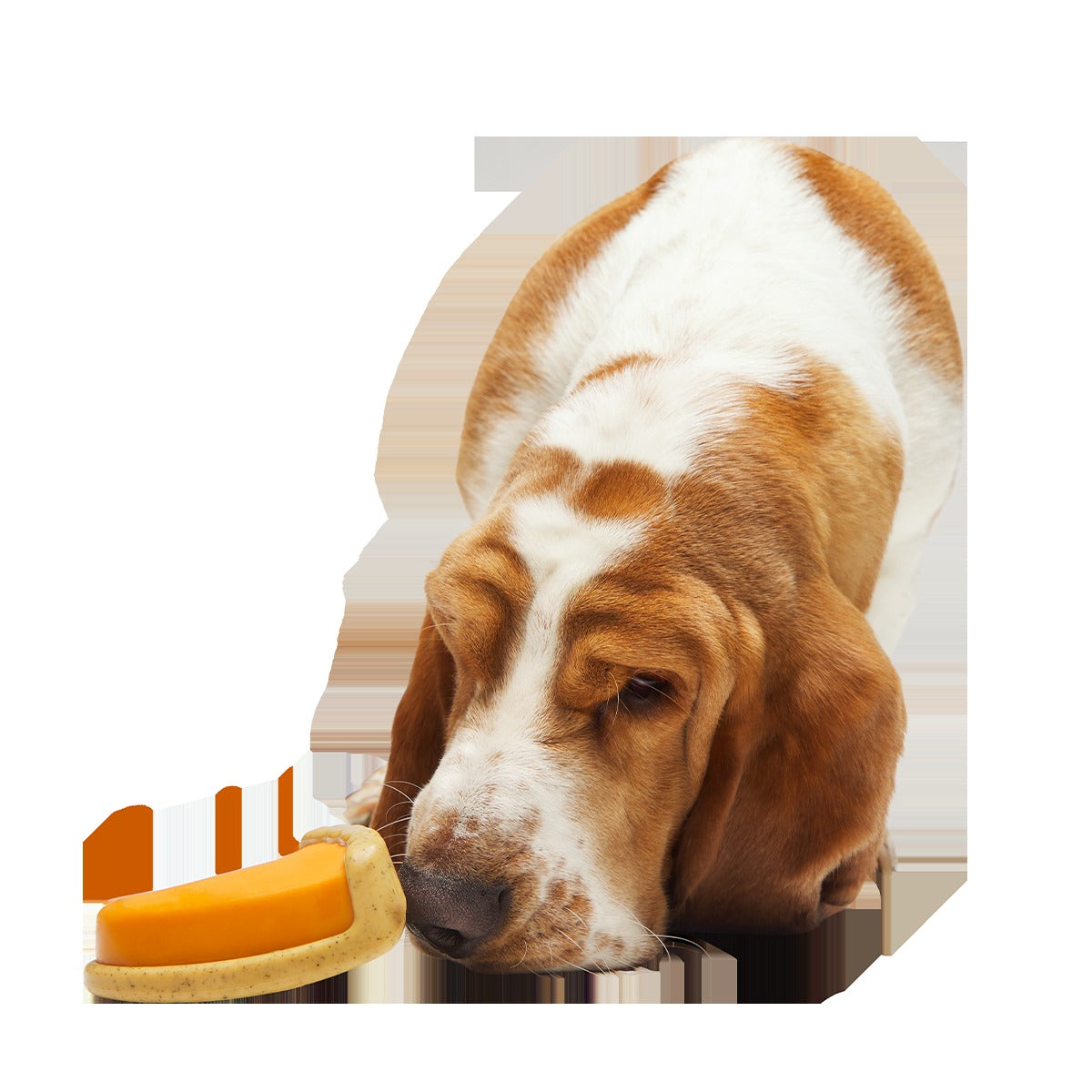 Powered Up Pie Super Chewer Durable Gnaw Dog Toy