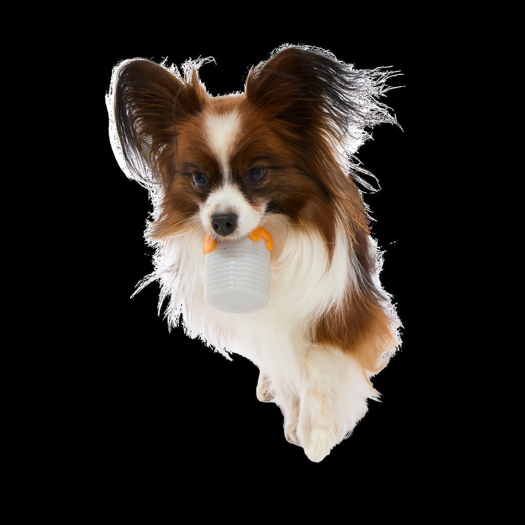 Ultimutt Trash Can Dogchos Super Chewer Durable Enrichment Dog Toy