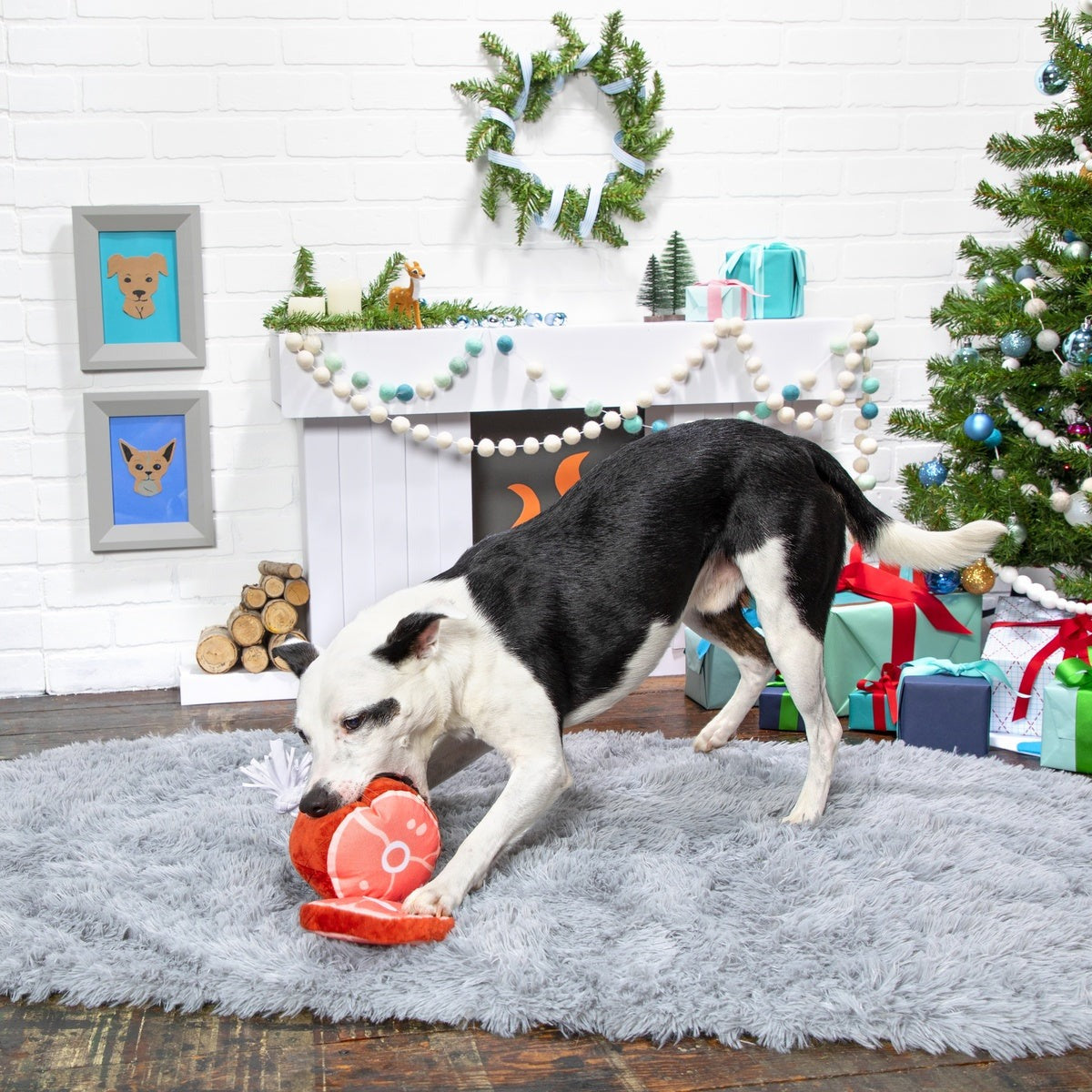 Wham Bam Ham Plush Tug Dog Toy