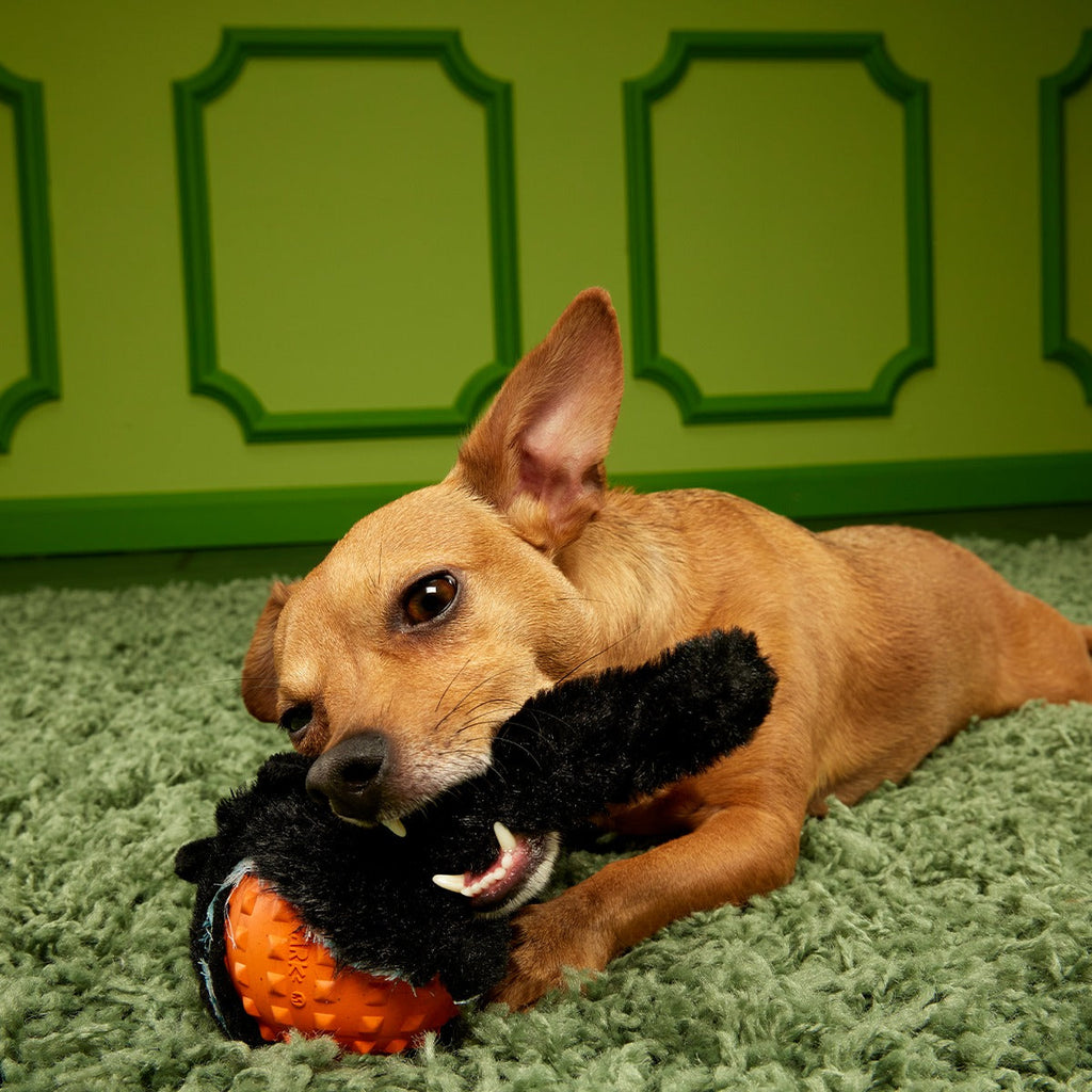 Black Alley Cat Super Chewer Durable 2-in-1 + Tug + Fetch Dog Toy