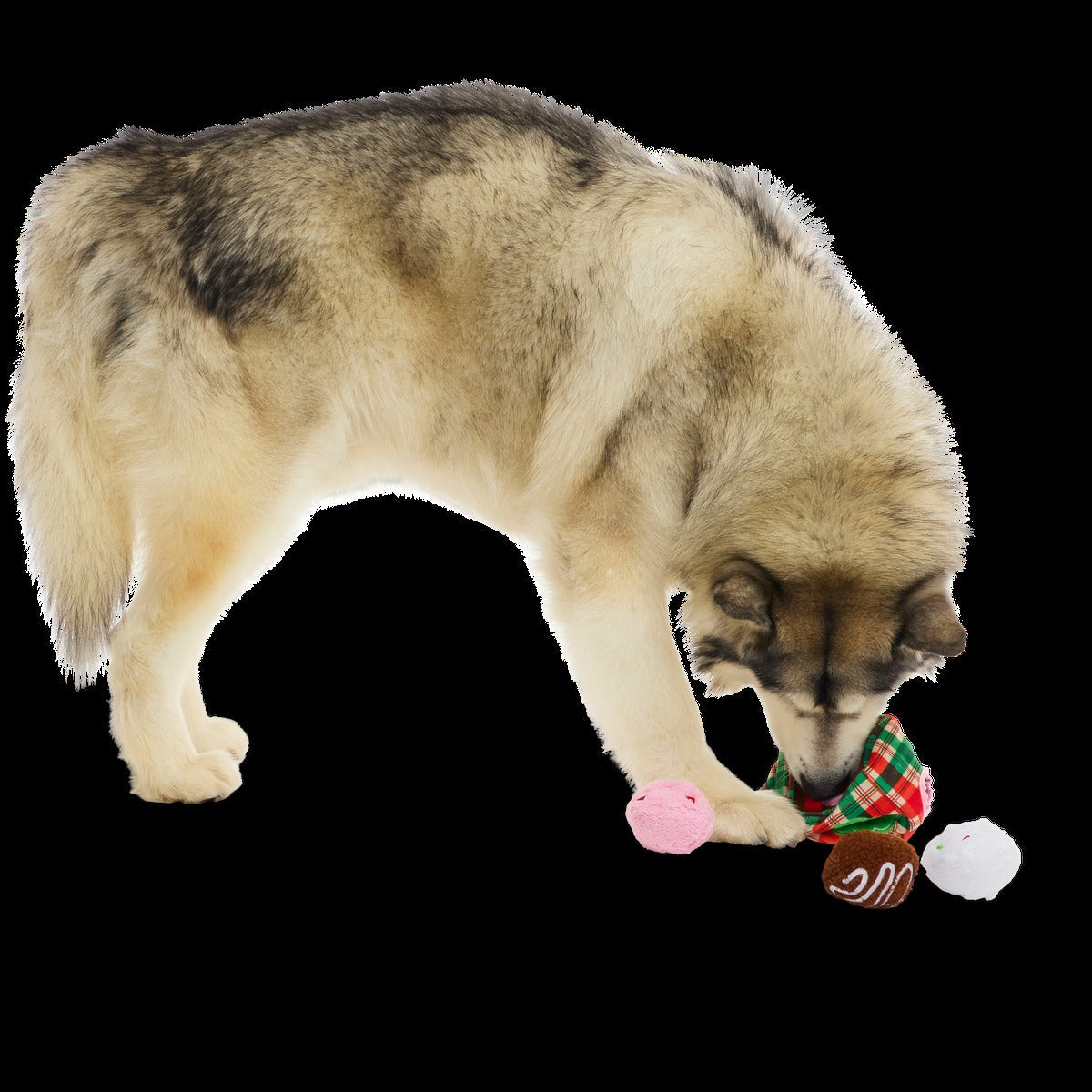 Saturday Night Live: Schweddy Balls Plush Multi-Part Dog Toy