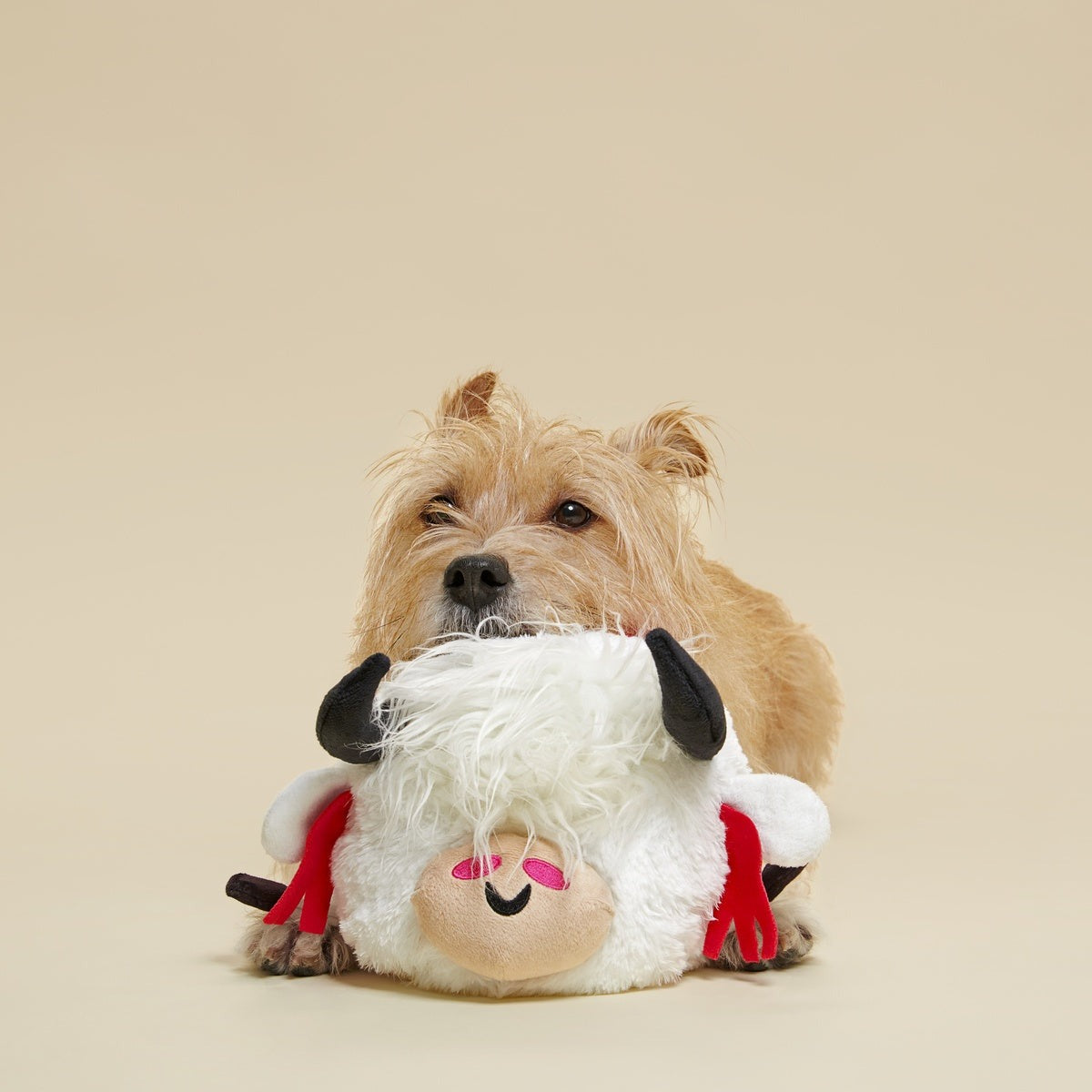 Yeshe the Yak Plush Extra-Large + Tug Dog Toy