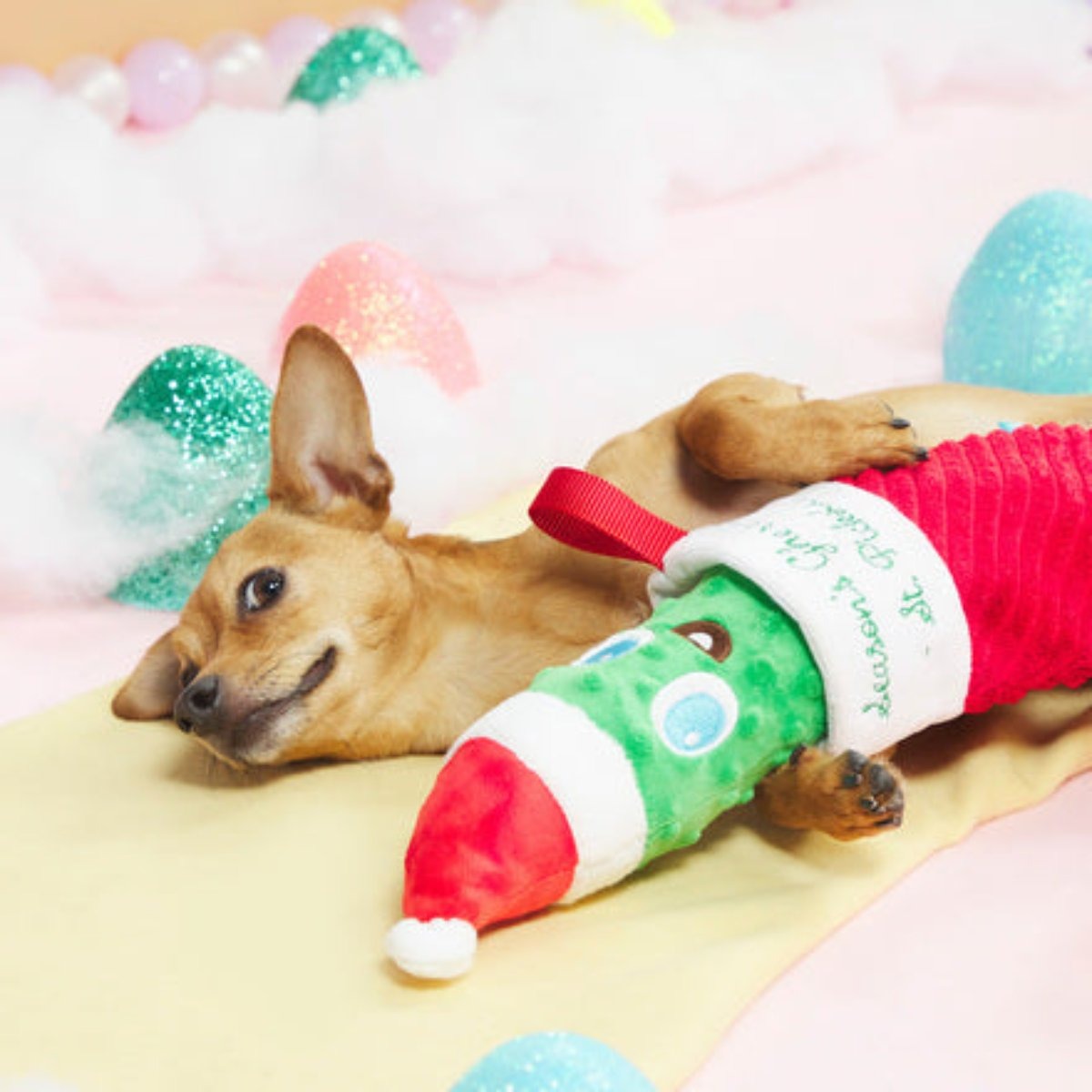 St Pickolas Plush Multi-Part Dog Toy