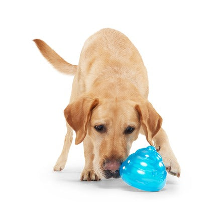 Poopsicle Super Chewer Durable Fetch + Enrichment Dog Toy