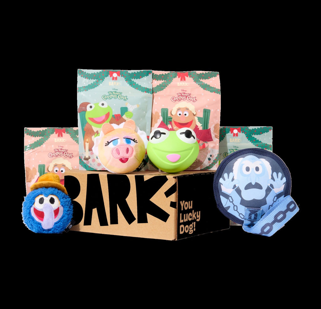 BARK 6 Month Subscription - The Muppet Christmas Carol Double Deluxe First Box