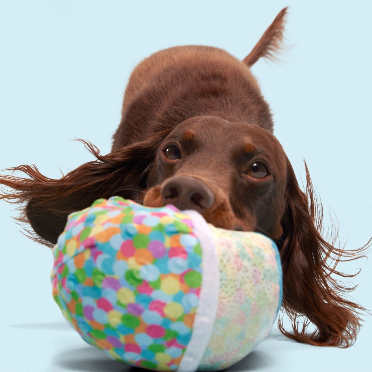 Yippin' Spots Ice Cream Plush Fetch Dog Toy