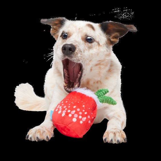 Jingle Juice Plush Dog Toy