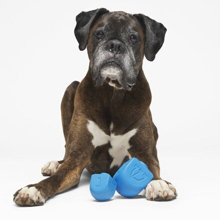 Dreidel Chompian Hanukkah Super Chewer Durable Dog Toy