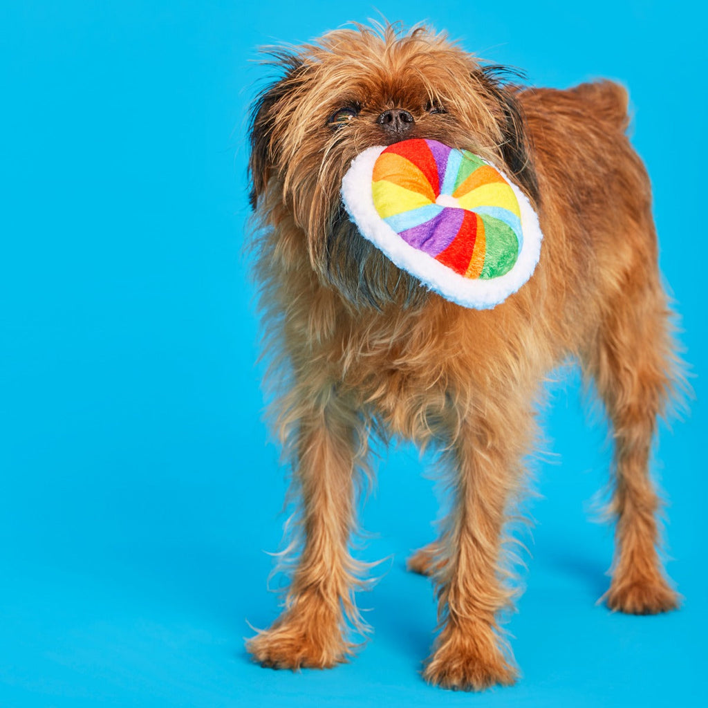 Rainbow-wow Bagel Plush Tug Dog Toy