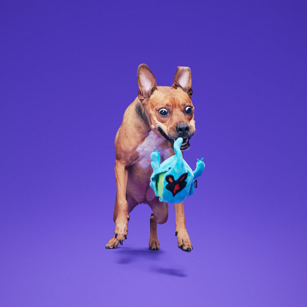 Phantom ShadowsTM Super Chewer Durable 2-in-1 + Enrichment Dog Toy