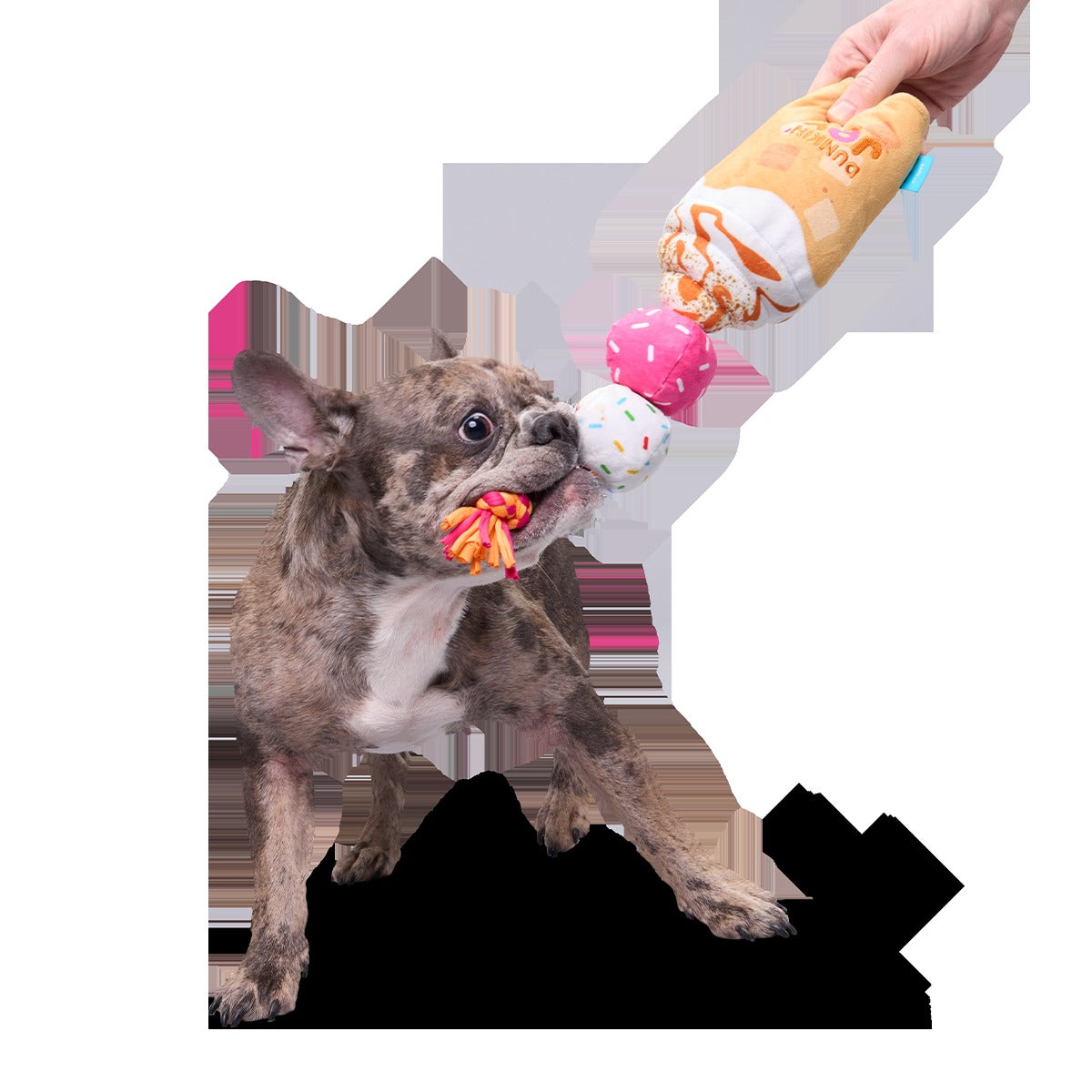 Dunkin'® Pumpkin Signature Latte Plush Tug Dog Toy
