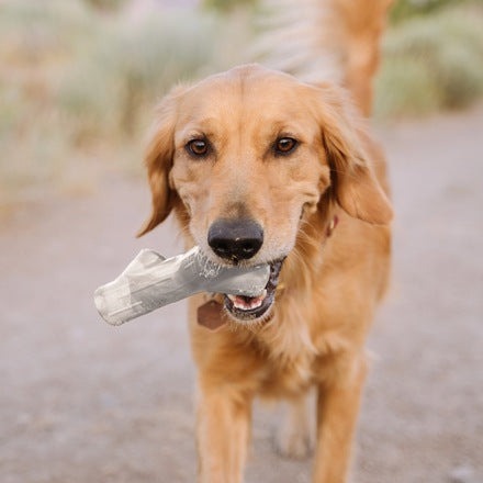 Fetch Stick Durable Super Chewer Dog Toy