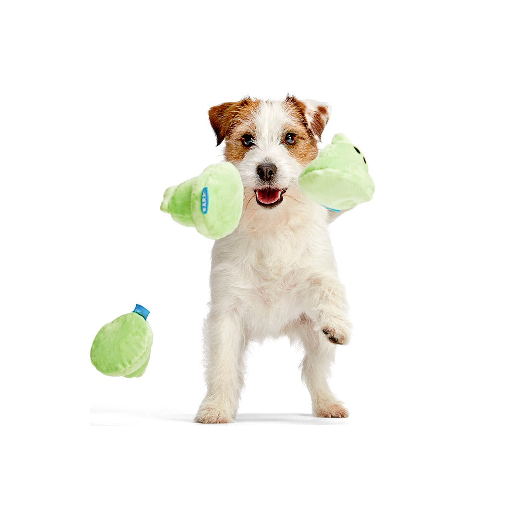 Spoopy Poopies Plush Multi-Part Dog Toy