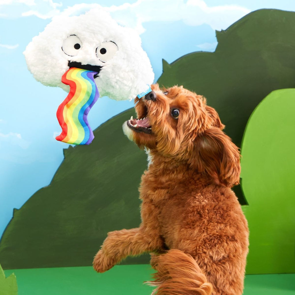 Loud and Proud Cloud Plush Tug Dog Toy