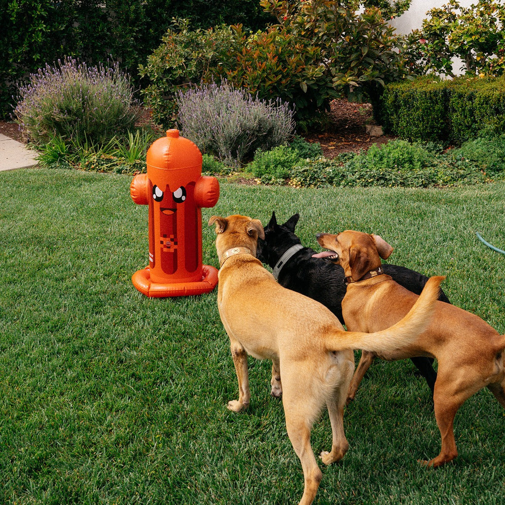 FUNBOY Harry the Hydrant Sprinkler