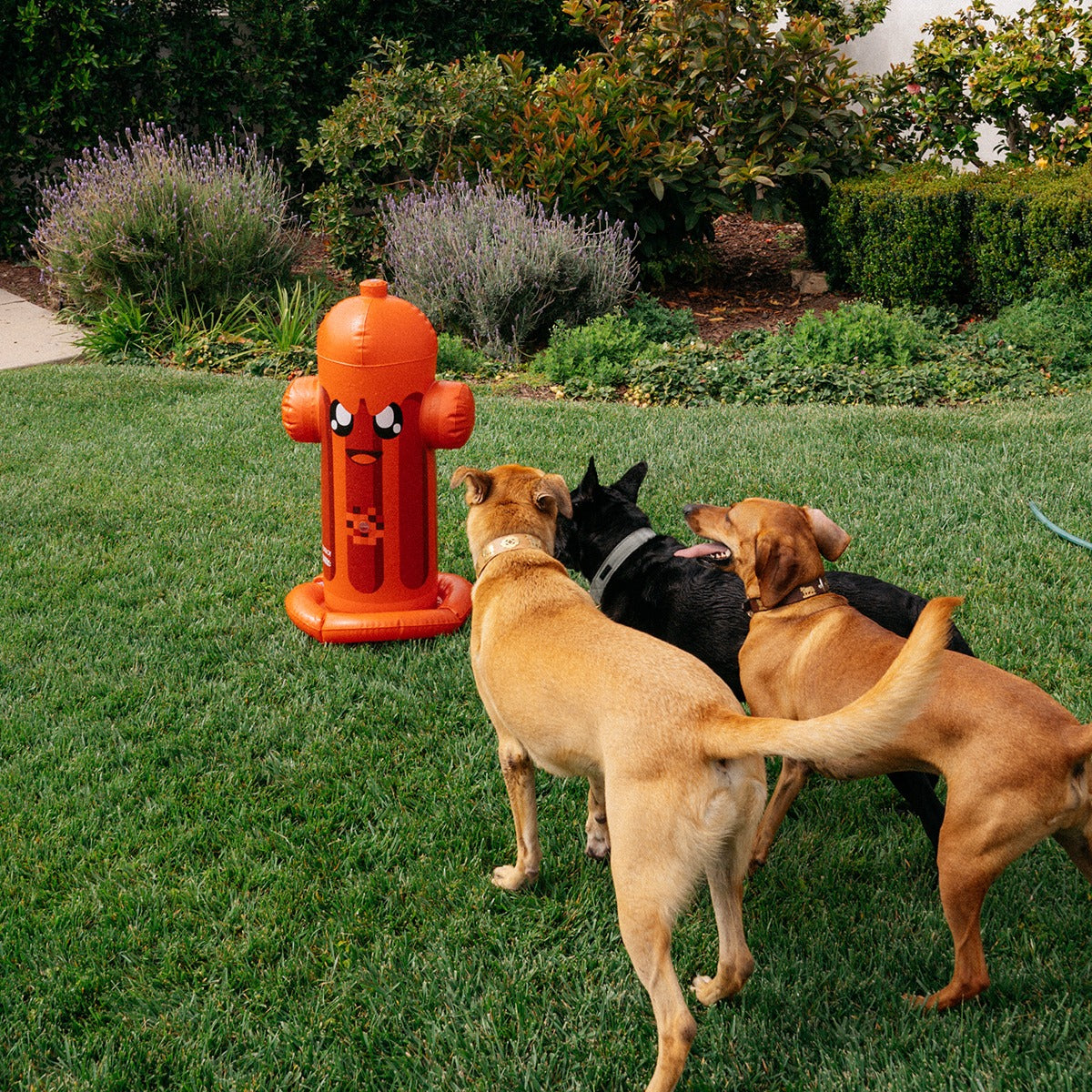 FUNBOY Harry the Hydrant Sprinkler