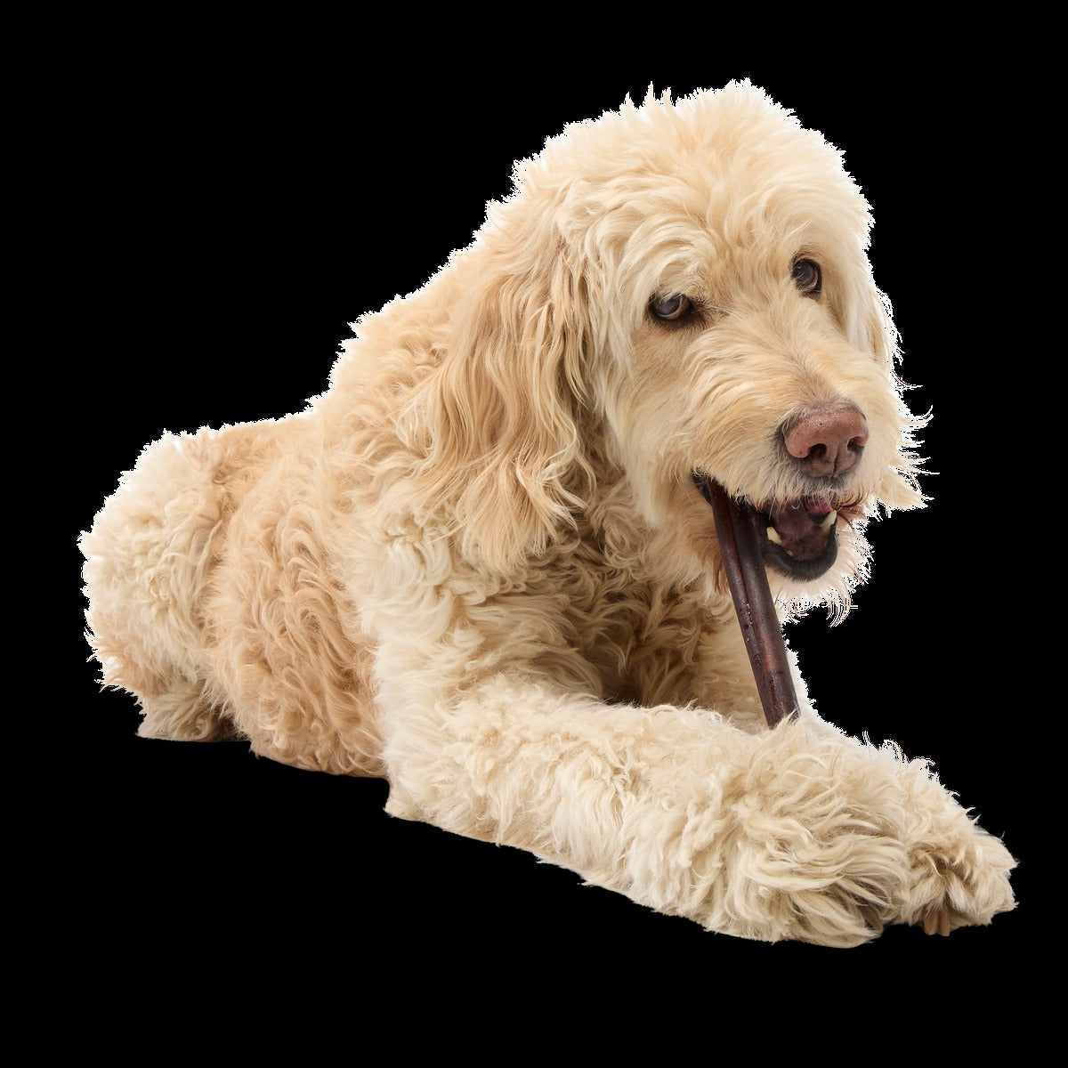 Beef Collagen Dog Chews, 5 Ct