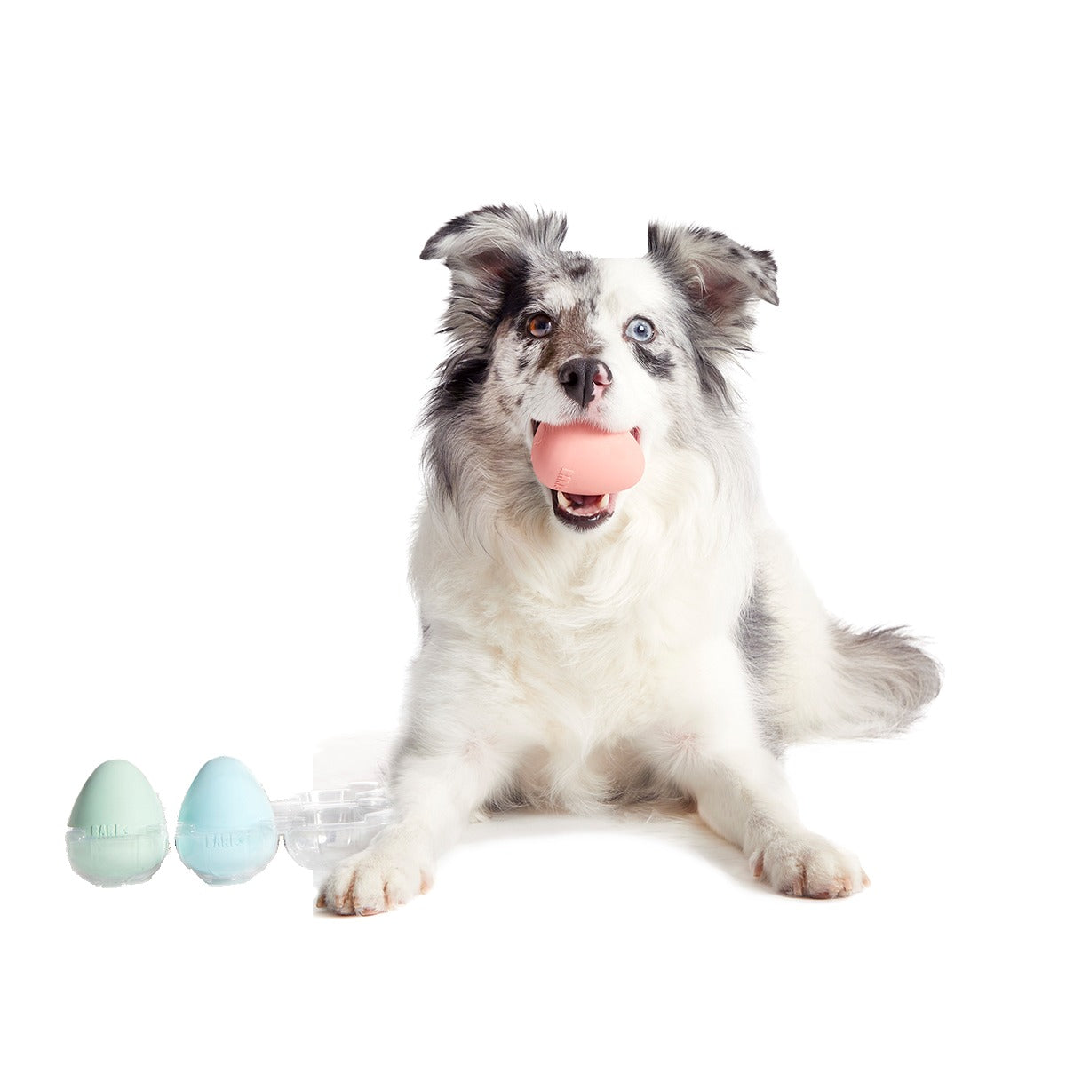 Easter Funday Bundle Super Chewer Durable Multi-Part + Fetch Dog Toy