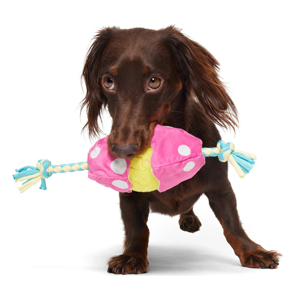 Peep-A-Bird Plush Tug Dog Toy