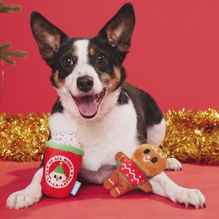 Ginger Brew Crew Plush Multi-Part Dog Toy