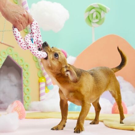 Puppermint Bark Pretzel Tug Dog Toy