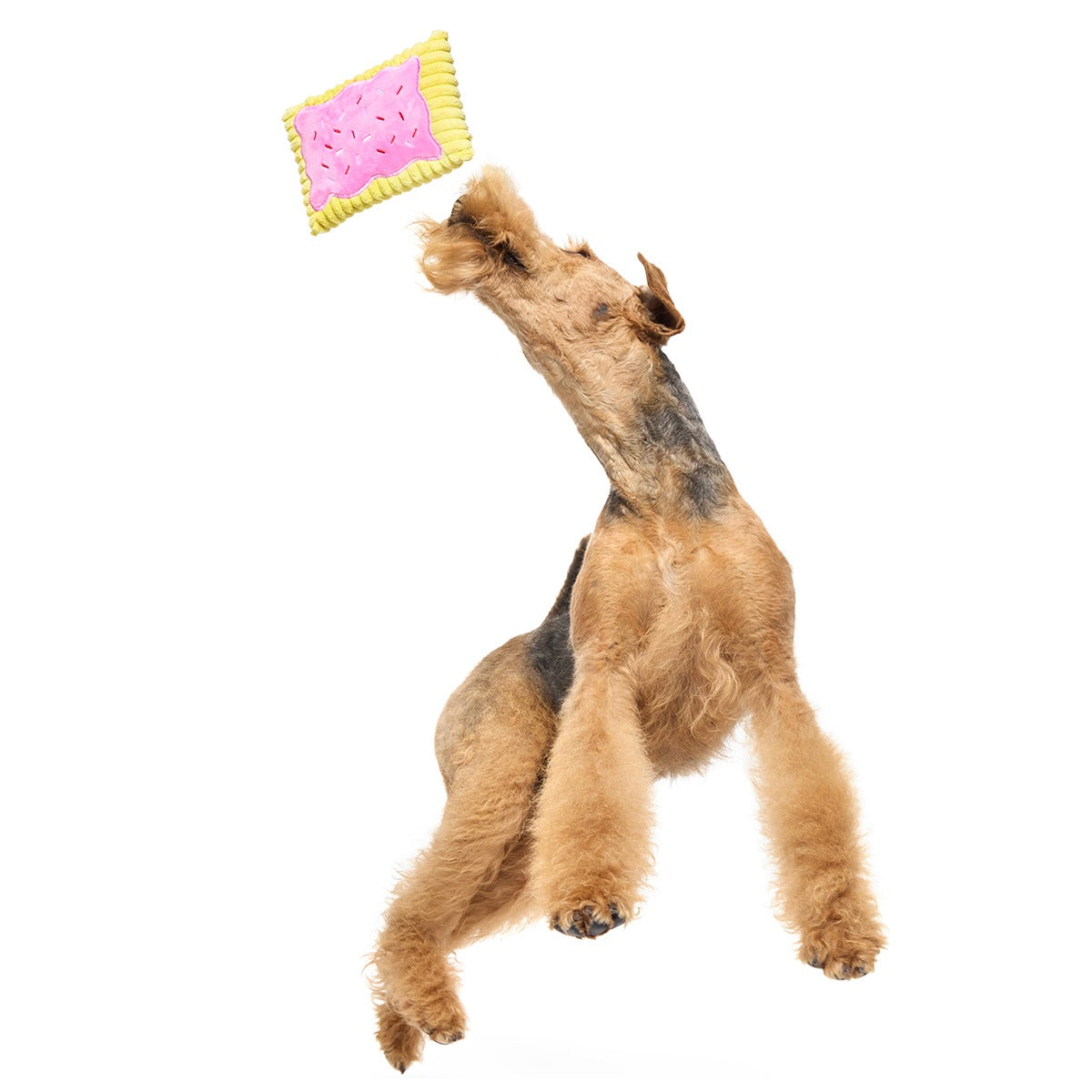 Pup Tart Plush Tug Dog Toy