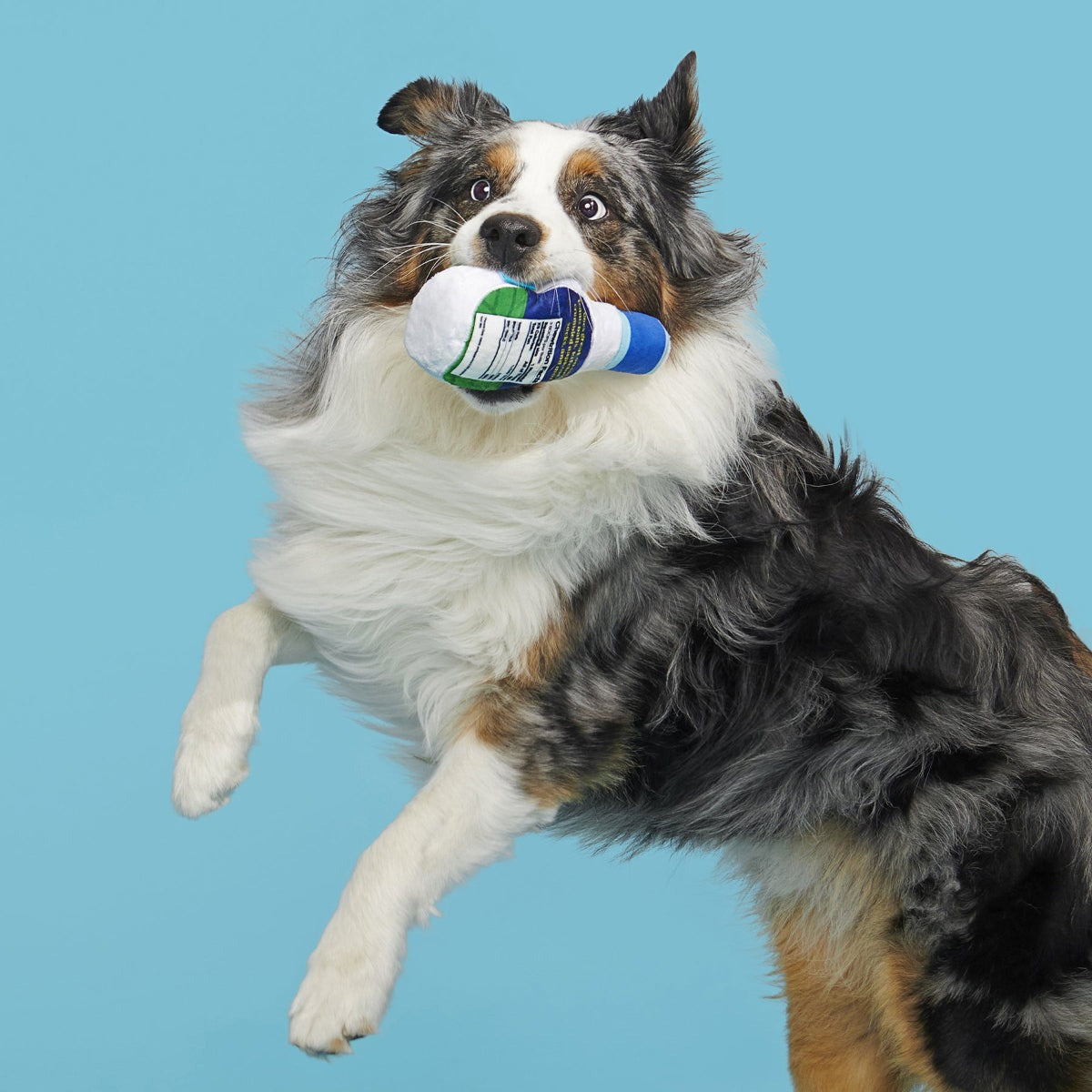 Stinky Valley Ranch Plush Tug Dog Toy