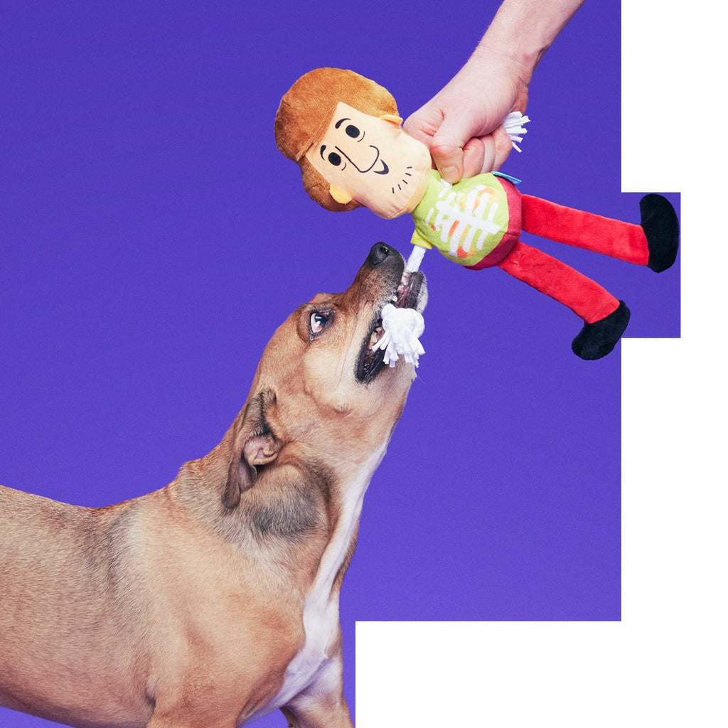 ShaggyTM Skelly Plush Extra-Large + Tug Dog Toy