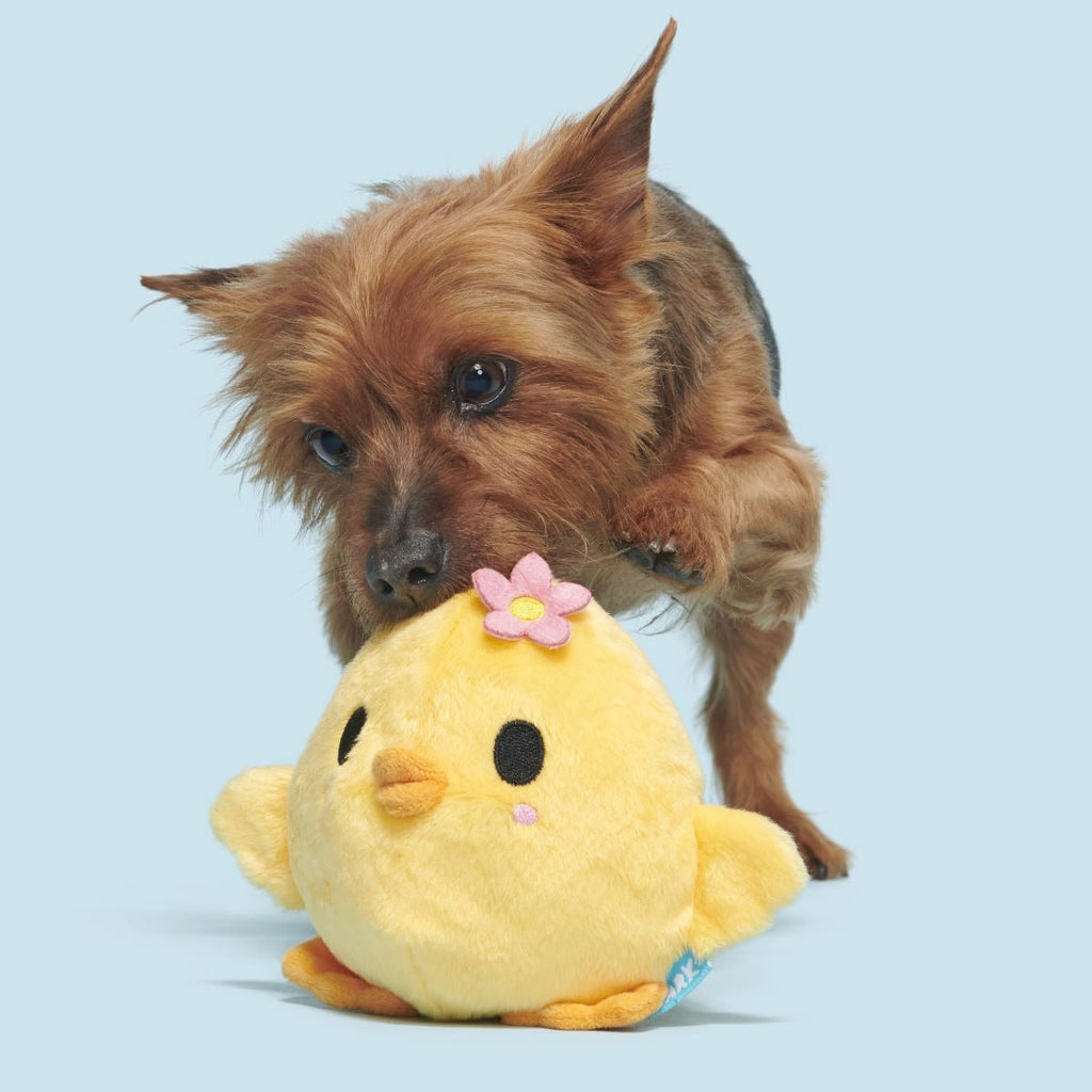 Lil' Hennifer Plush Fetch Dog Toy