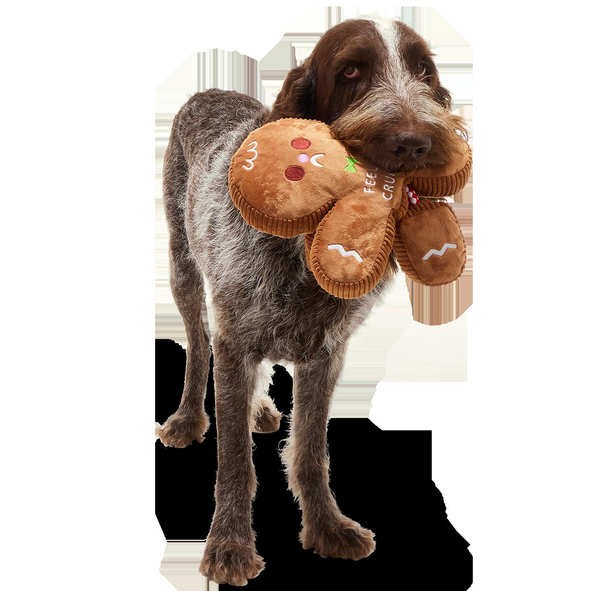 The Crumbum King Plush Extra-Large + Tug Dog Toy