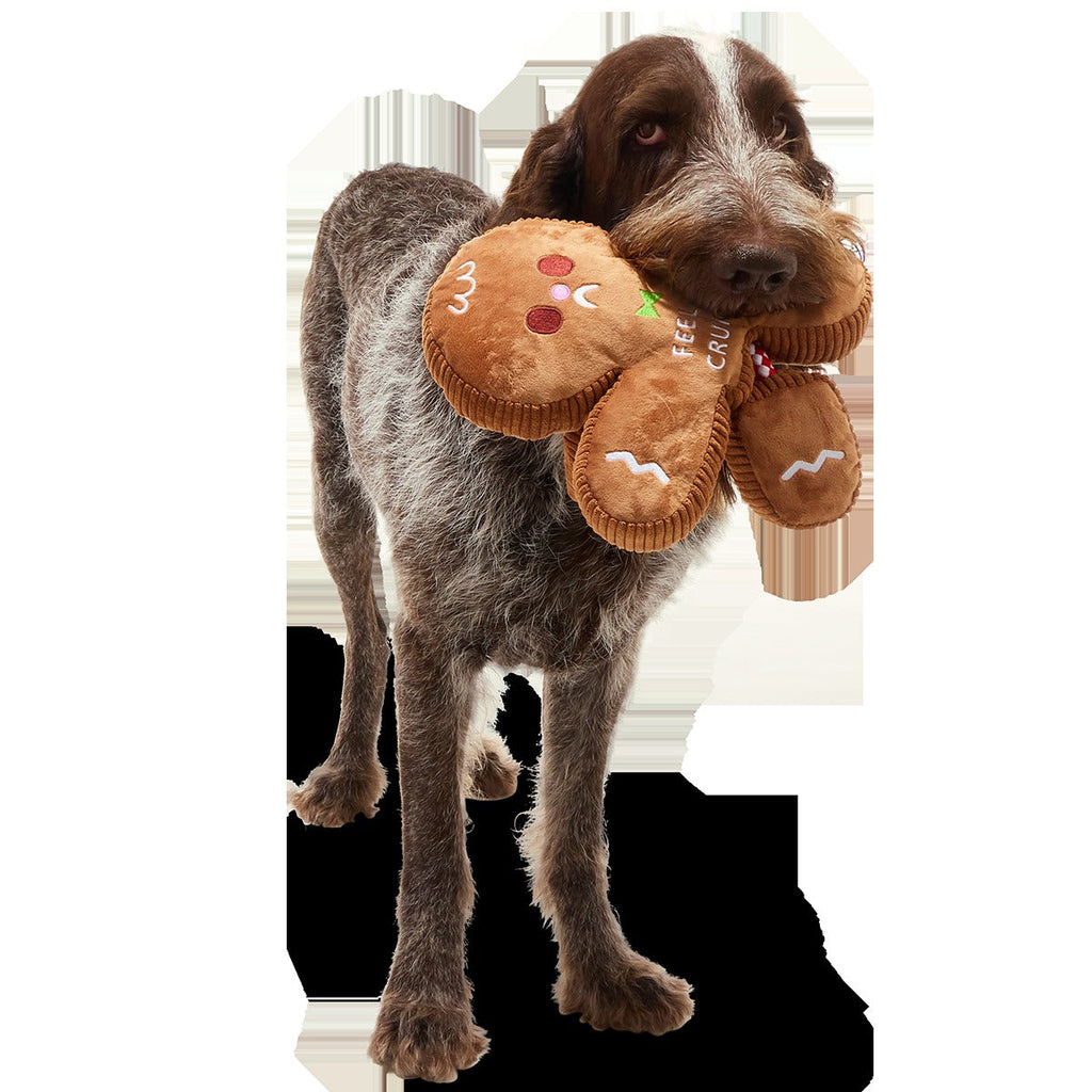 The Crumbum King Plush Extra-Large + Tug Dog Toy