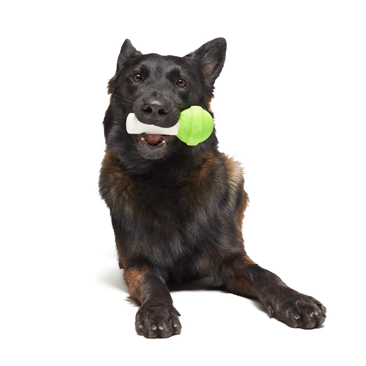 Ghoulie Pop Super Chewer Durable Gnaw Dog Toy