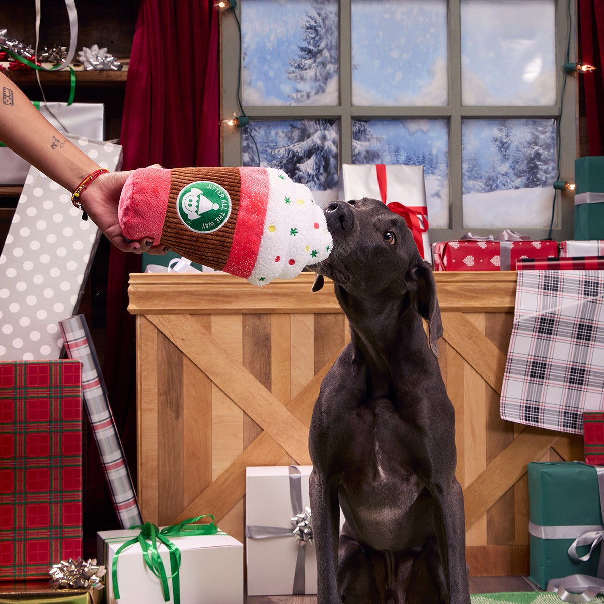 Jumbo Jingle Latte Plush Extra-Large Dog Toy
